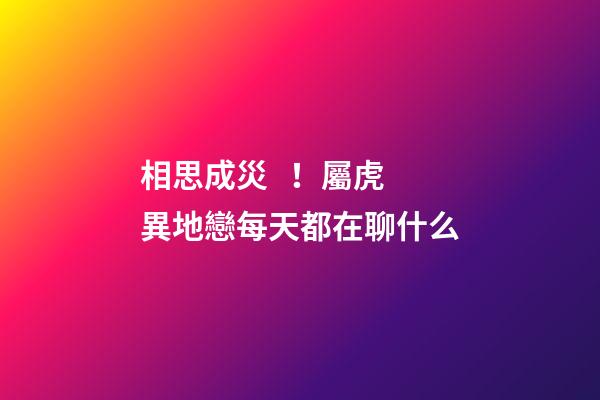 相思成災！屬虎異地戀每天都在聊什么